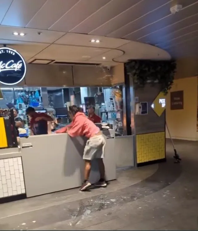 wild food fight