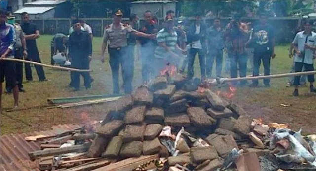 Officials Burn 3 Tons Of Cannabis, Didn't Think It All The Way Through