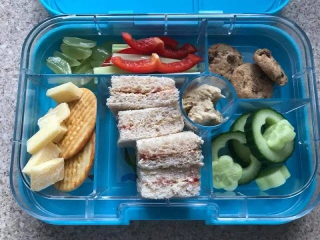 Laura Lee Baffled As Son Packed School Lunch Is Sent Home