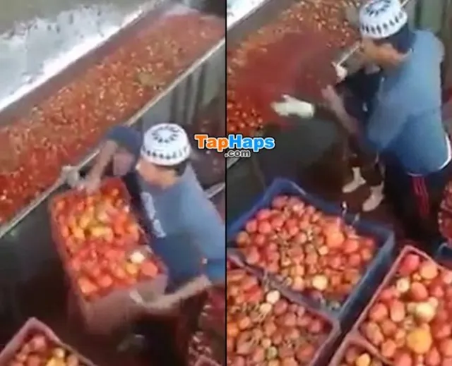 Heinz Egypt
