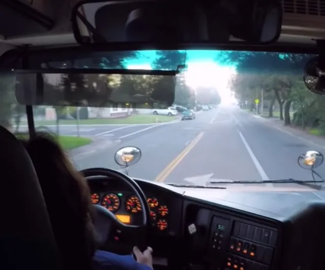 school bus driver