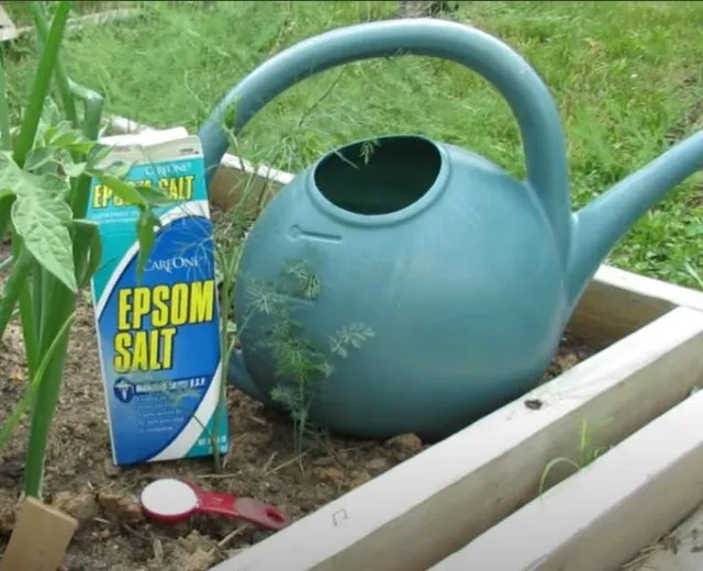 life hacks