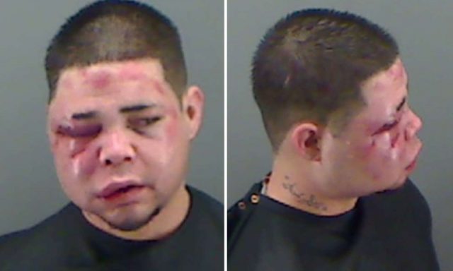 Kevin Mitchell Gonzales
