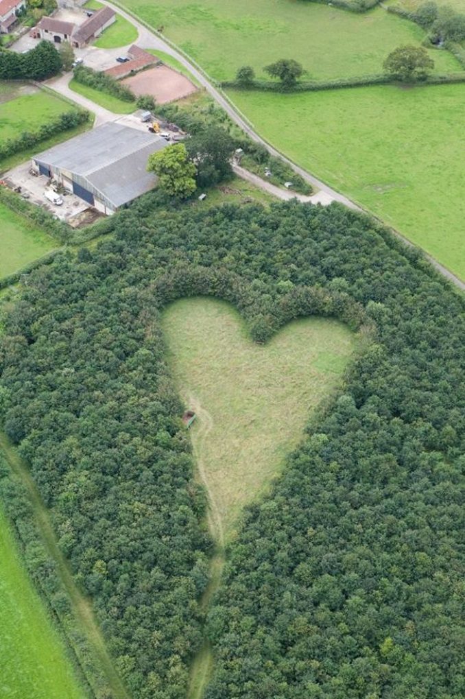 Winston Howes Plants 6000 Trees To Honor Late Wife