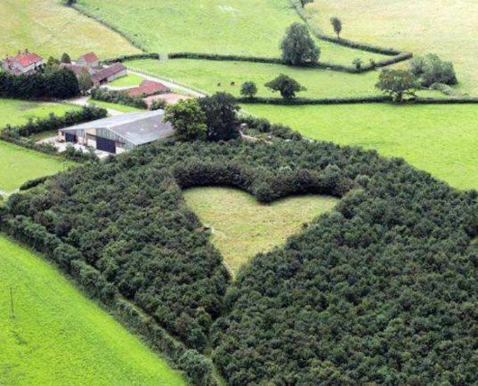 Winston Howes Plants 6000 Trees To Honor Late Wife