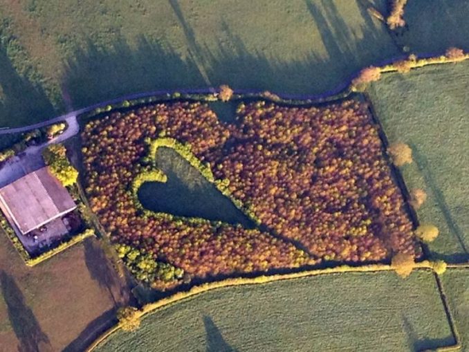 Winston Howes Plants 6000 Trees To Honor Late Wife