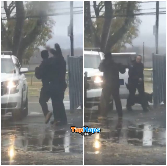 Officer Roman Scuadroni Guy Punches Police Officer Then Learns Hard Way That Cop Has K9 Partner